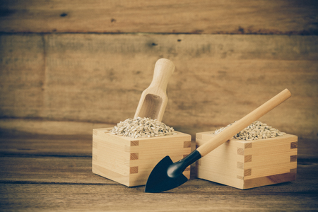 Organic raw sticky rice in wood boxの写真素材