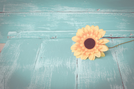 sunflowers on vintage woodの写真素材