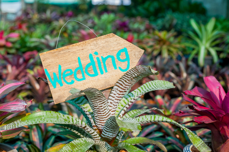 Wooden signboard with the inscription in  paint wedding. Wood hand made wedding decoration table.の写真素材