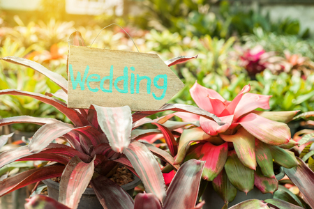 Wooden signboard with the inscription in  paint wedding. Wood hand made wedding decoration table.の写真素材