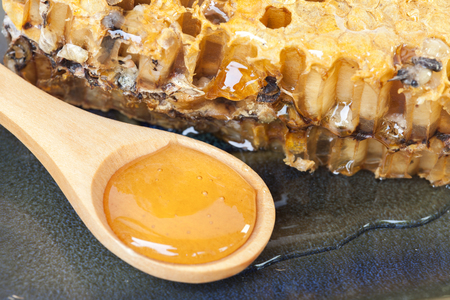 close up honeycomb and honey on  backgroundの写真素材