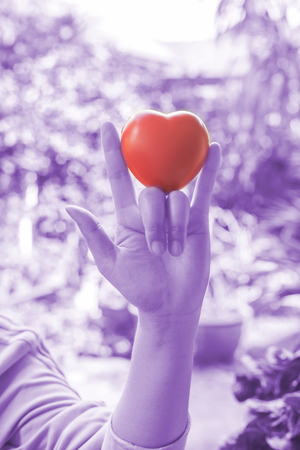 red heart in handの写真素材