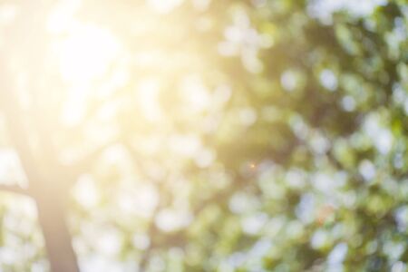 abstract  bokeh background ,Lights blurred out focusの写真素材