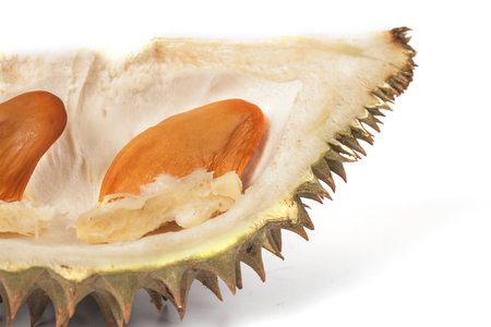 Durian seed on plate ,white backgroundの写真素材
