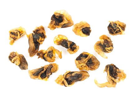 sea food sweet dried clams on white background