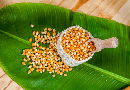 Organic corn drop out of sackcloth on banana leaves