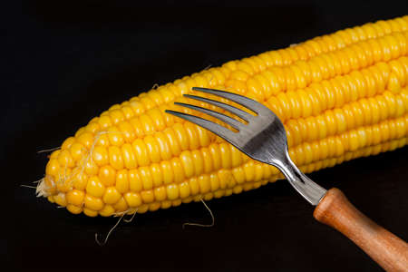 yellow fresh corn with fork on black backgroundの写真素材