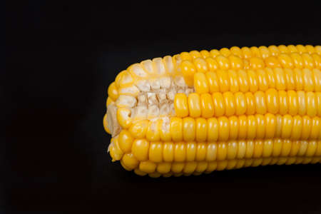 yellow fresh corn  on black backgroundの写真素材