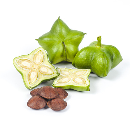 fresh and dry Inca peanut on white backgroundの写真素材