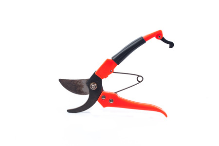 old scissors for cut branches in hand on white backgroundの写真素材