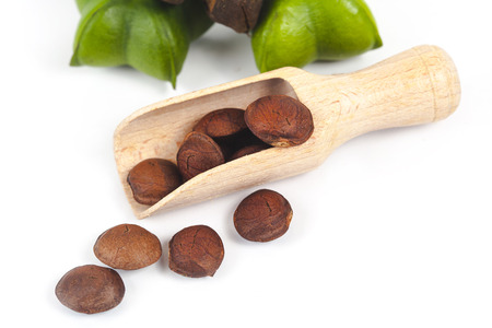 fresh and dry Inca peanut in wood spoon on white backgroundの写真素材