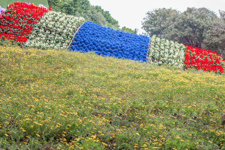 beautiful flower in garden fieldの写真素材