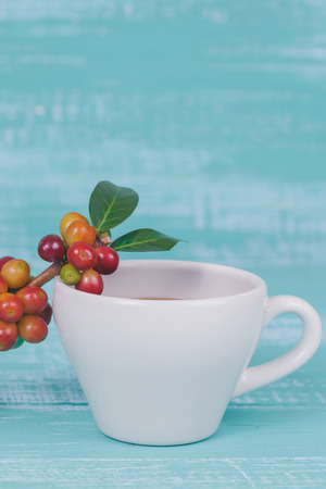 fresh coffee beans and cup of hot coffee ,concept food and drink.の写真素材