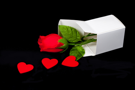 Red rose in white paper box ,Valentine concept.の写真素材