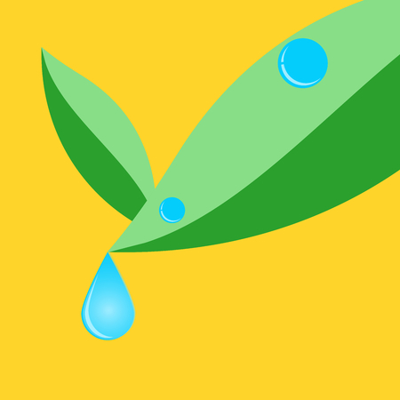 water drop on green leave.illustration vector.のイラスト素材