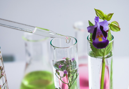 Pipette dropping above test tube on sample chemical into herbal plants, biotechnology medicine research concept.の写真素材