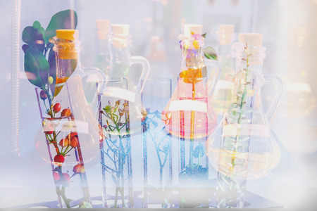 Double exposure Small plants in test tube for biotechnology medicine research.の写真素材