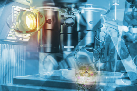 Scientist in laboratory to research with test tube , science 


concept.の写真素材