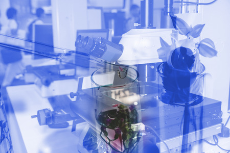 Scientist in laboratory to research with test tube , science concept.