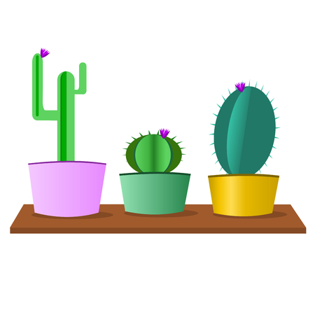 Cactus flora plant in color cans on wood.Illustration.のイラスト素材