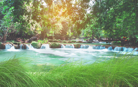 Green grass frame and Small Waterfall in autumn forest at National Park.の写真素材