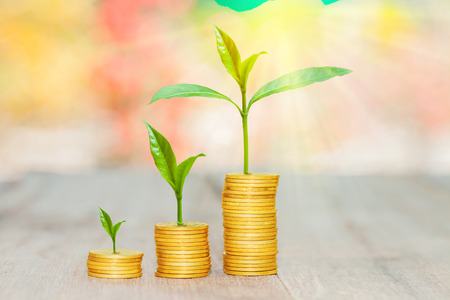 Grow small plants with coins stacked with bokeh background.の写真素材