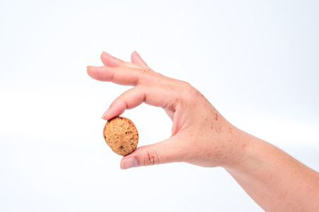 Dry Walnut in hand isolated on white background,Food for health.の写真素材
