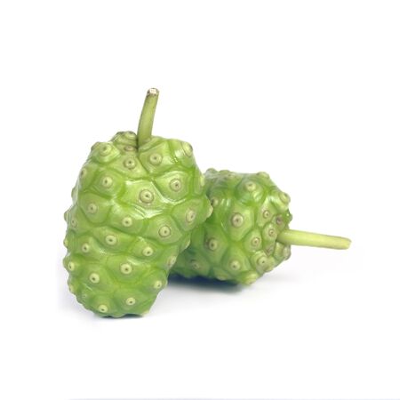 Noni or Morinda Citrifolia fruit isolated on white background herb concept.の写真素材