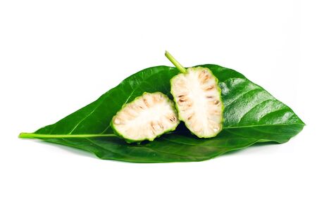 Noni or Morinda Citrifolia fruit isolated on white background herb concept.の写真素材