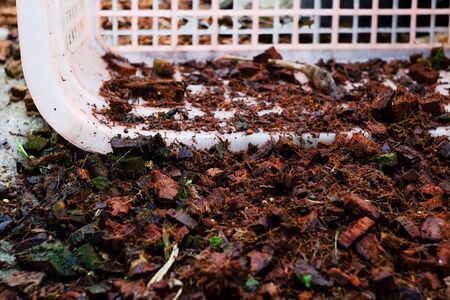 Planted soil spilled of basket.