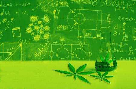 Test tube for biotechnology medicine research.の写真素材