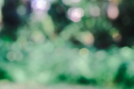 Blurry and bokeh of nature background.の写真素材