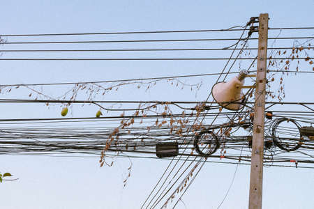 The hatchery wrapped around the electric pole.