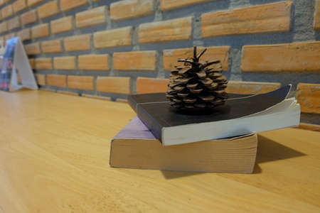 Old text books with chestnut on coffee bar.の写真素材