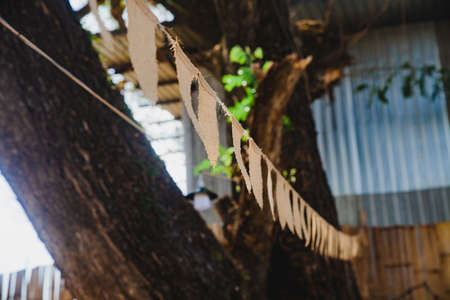Close focus small cloth flag line on big tree.の写真素材