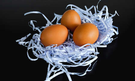 Fresh eggs on the hay straw background texture .