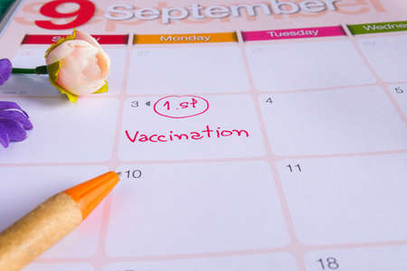 Appointment to vaccination on calendar to reminder.の写真素材