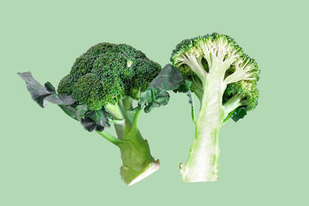 Fresh green broccoli on color background. Organic food.の写真素材