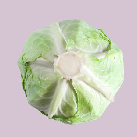 Fresh green cabbage isolated on color background. Organic food.の写真素材