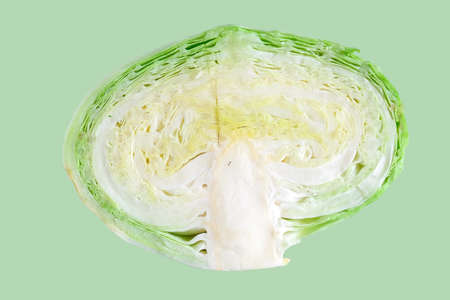 Fresh green cabbage isolated on color background. Organic food.の写真素材