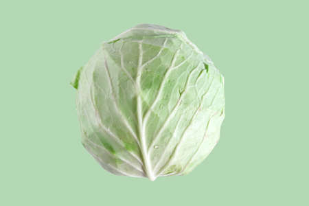 Fresh green cabbage isolated on color background. Organic food.