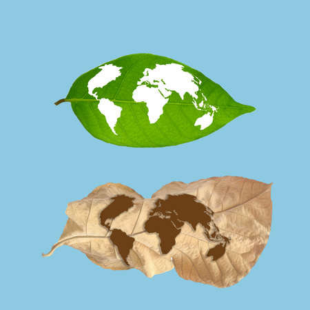Earth map on green leaf with map on dry leaf ,Elements of this image furnished by NASA.の写真素材