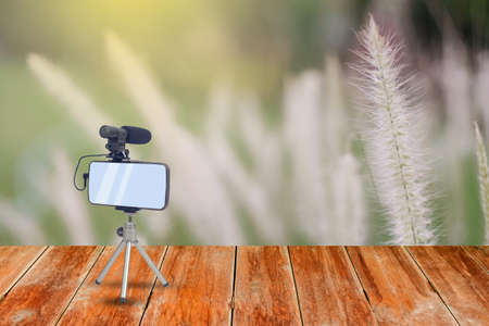 Mobile Hand set on wooden walk way or table on a blurry meadow background.の写真素材
