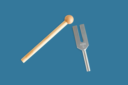 Tuning fork in sound therapy or  tunning musical instruments .