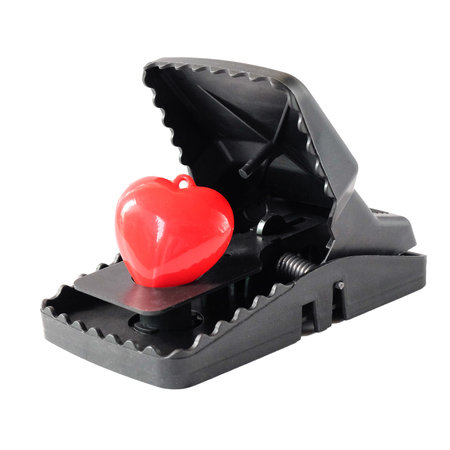 Small red heart in Plastic mouse trap, Love trap concept.の写真素材