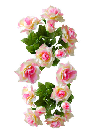Pink rose flowers in a floral arrangement on white background.の写真素材