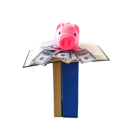 Piggy bank on book and money , financial planning.の写真素材