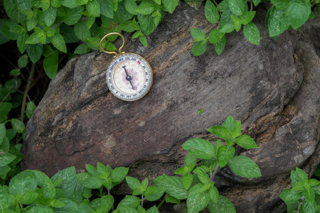 Gold compass on rock in garden.