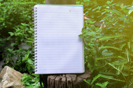 Book note on the field on sunny day in spring.の写真素材
