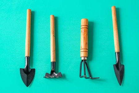 Gardening tools on a color background. Top view,の写真素材